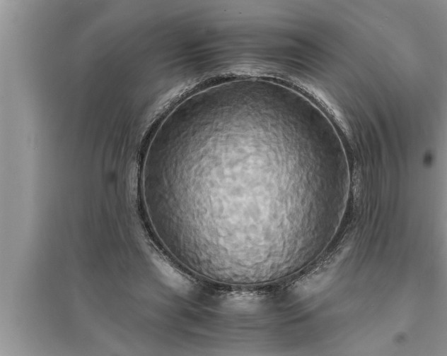 X0000095520445200712211306