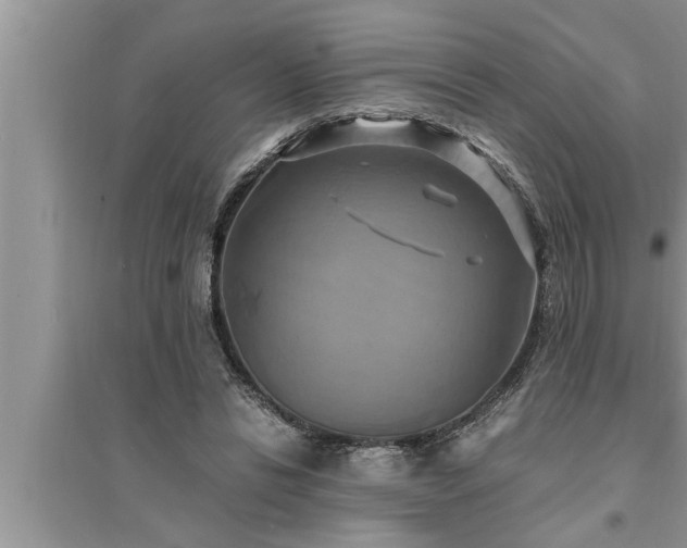 X0000095520446200712211306