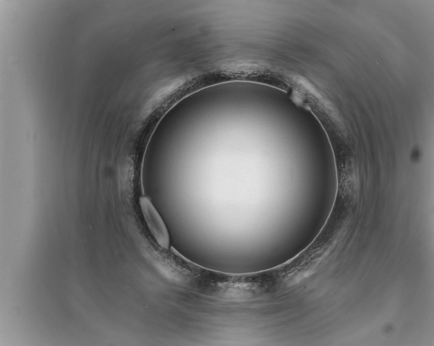 X0000095520448200712211306