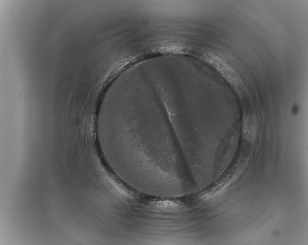 X0000095520449200712211306