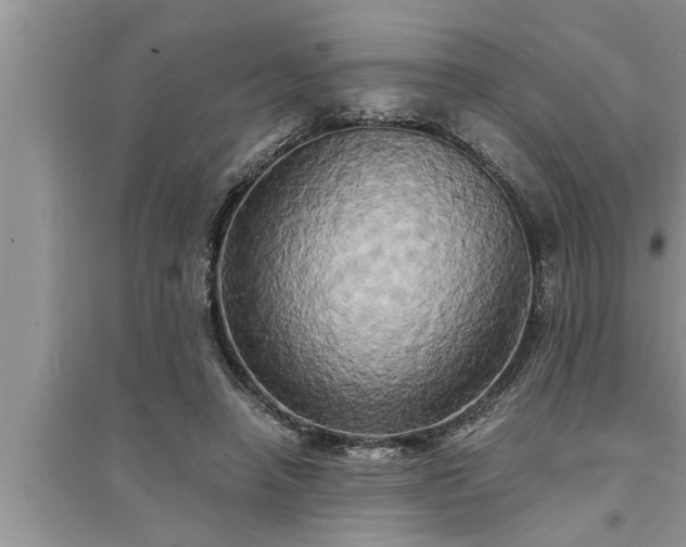 X0000095520450200712211306