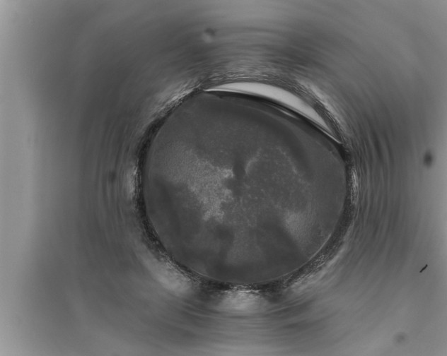 X0000095520451200712211306