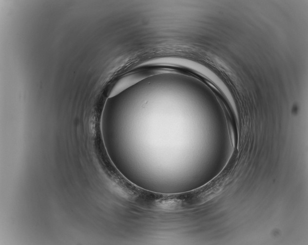 X0000095520452200712211306