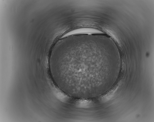 X0000095520453200712211306