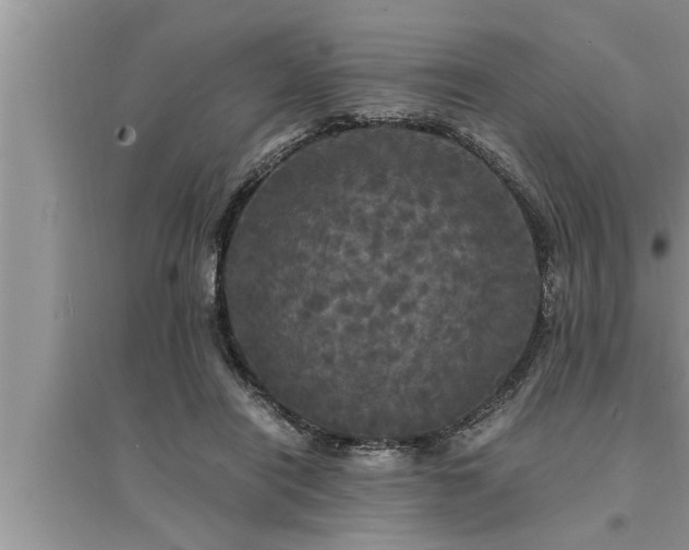 X0000095520454200712211306