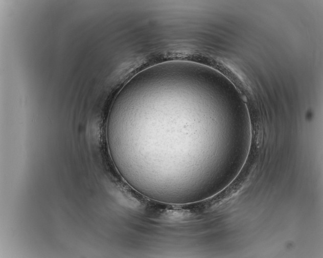 X0000095520455200712211306