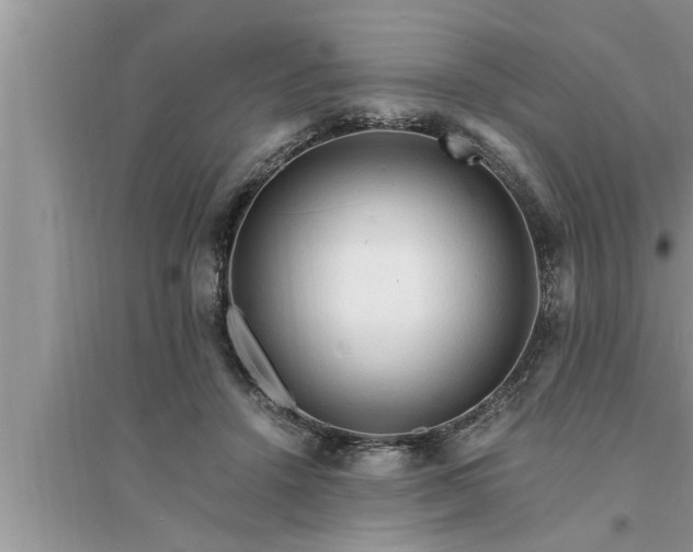 X0000095520456200712211306