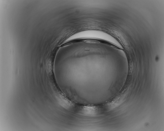 X0000095520457200712211307