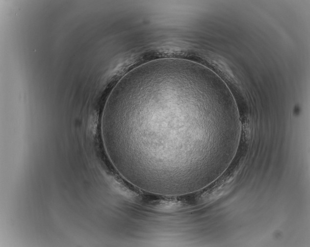 X0000095520458200712211307