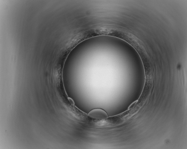 X0000095520460200712211307