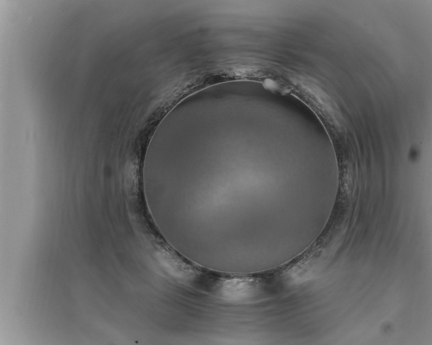 X0000095520461200712211307