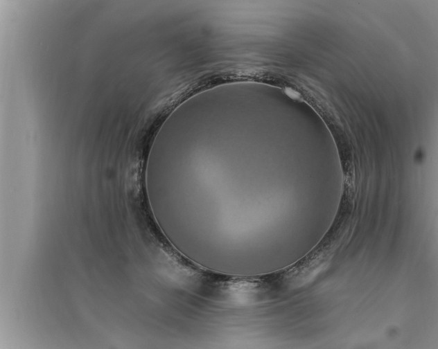 X0000095520462200712211307