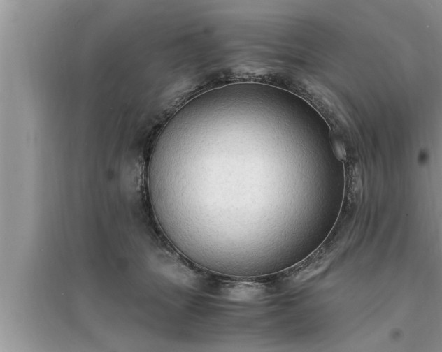 X0000095520463200712211307