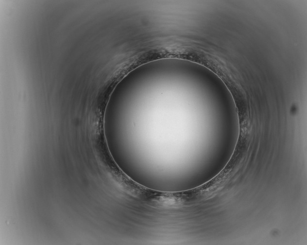 X0000095520464200712211307