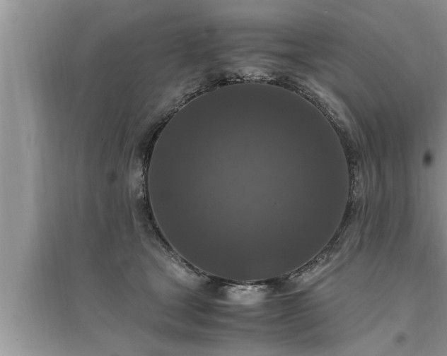 X0000095520465200712211307