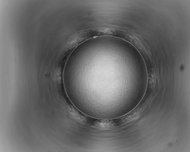 X0000095520466200712211307