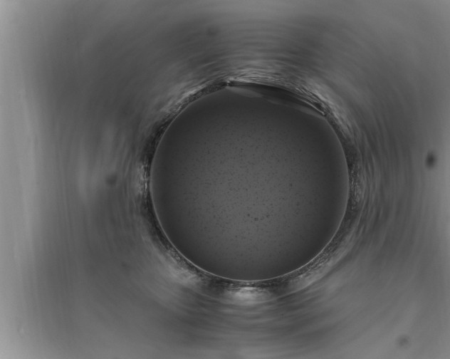 X0000095520467200712211307