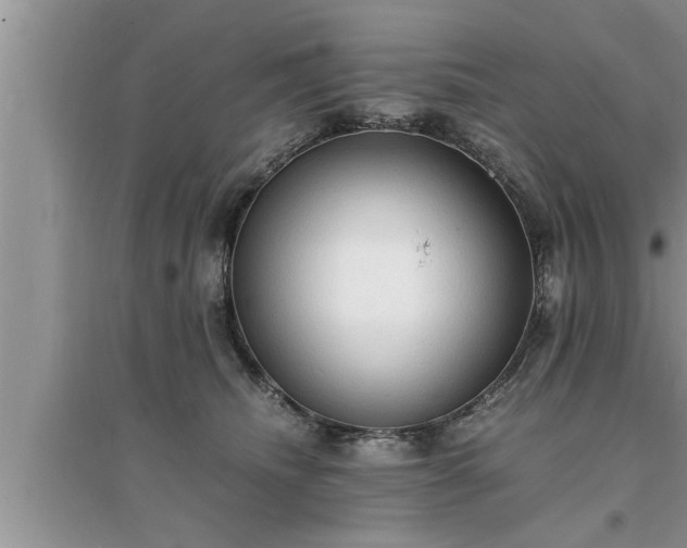 X0000095520468200712211307