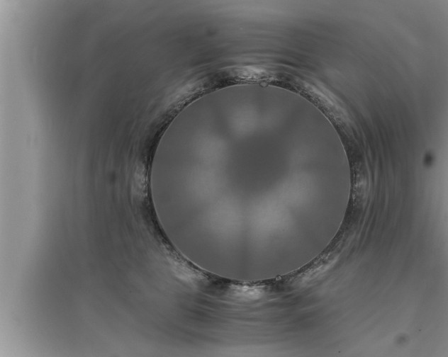 X0000095520469200712211307