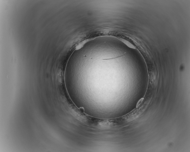 X0000095520470200712211307