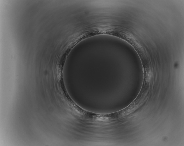 X0000095520471200712211307