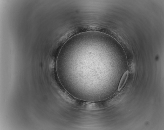 X0000095520472200712211307