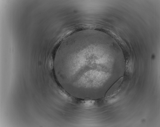 X0000095520474200712211307