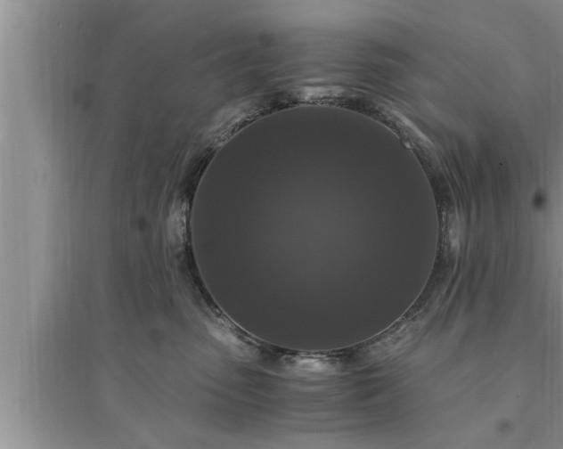 X0000095520475200712211307