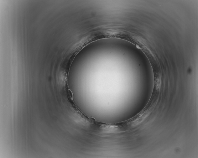 X0000095520476200712211307