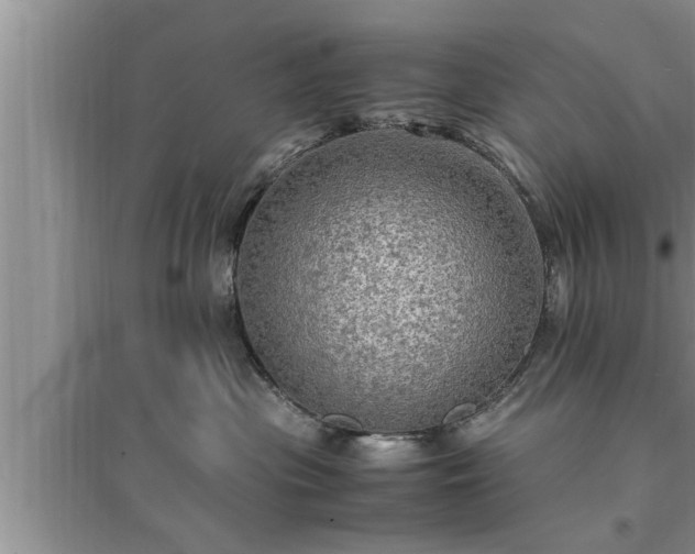 X0000095520477200712211307