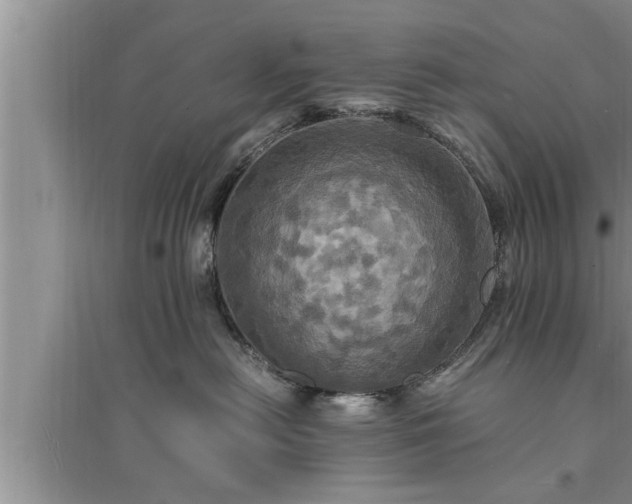 X0000095520478200712211307