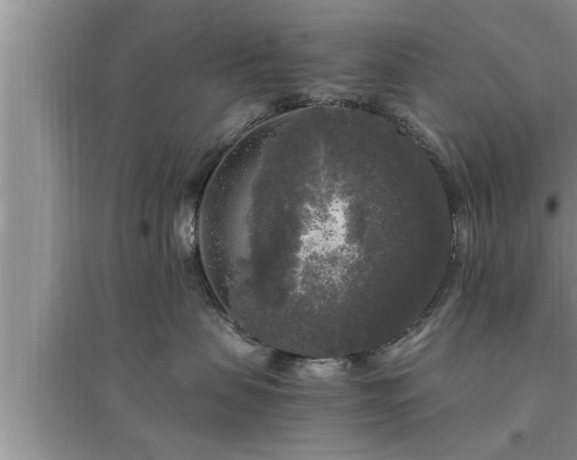 X0000095520479200712211307