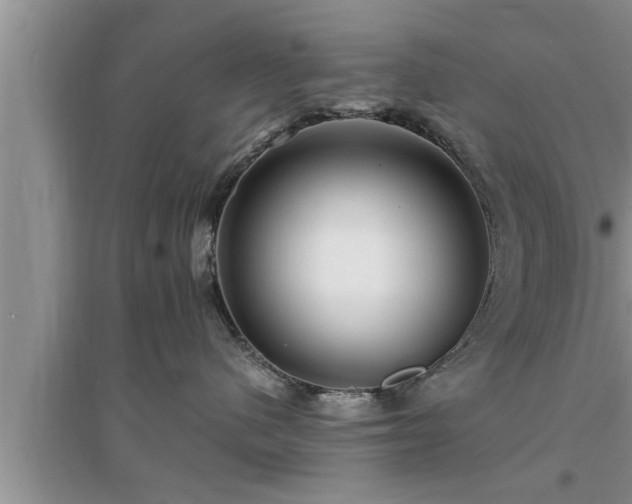 X0000095520480200712211307