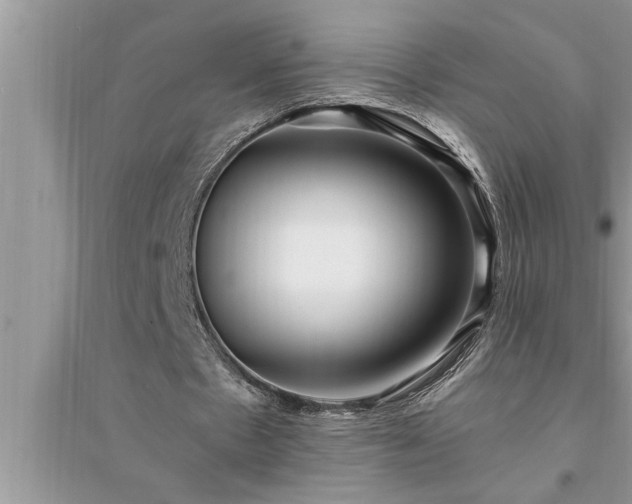 X0000095520481200712211306