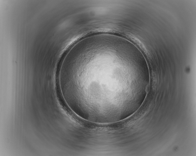 X0000095520482200712211306