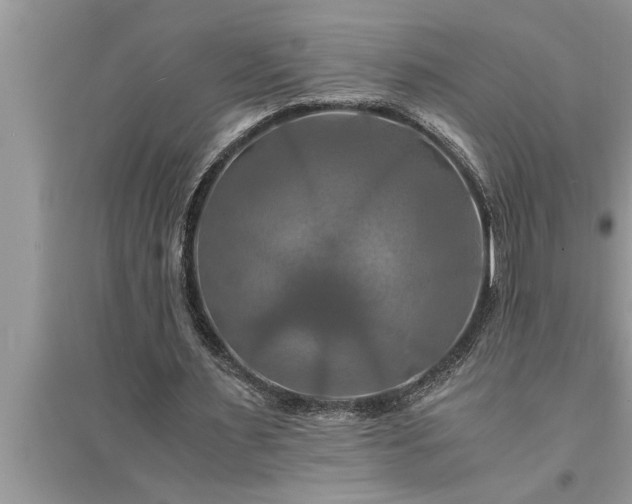 X0000095520483200712211306