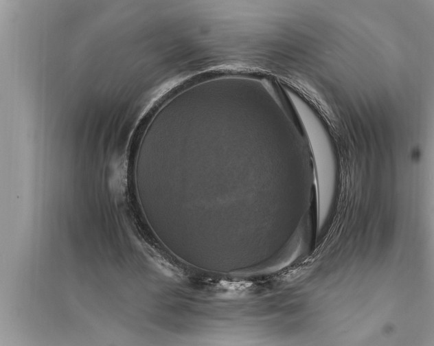 X0000095520484200712211306