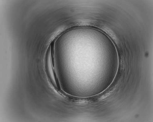 X0000095520485200712211306