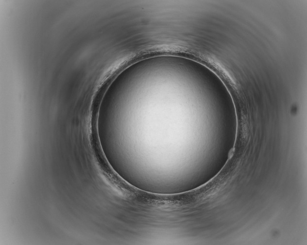 X0000095520486200712211306