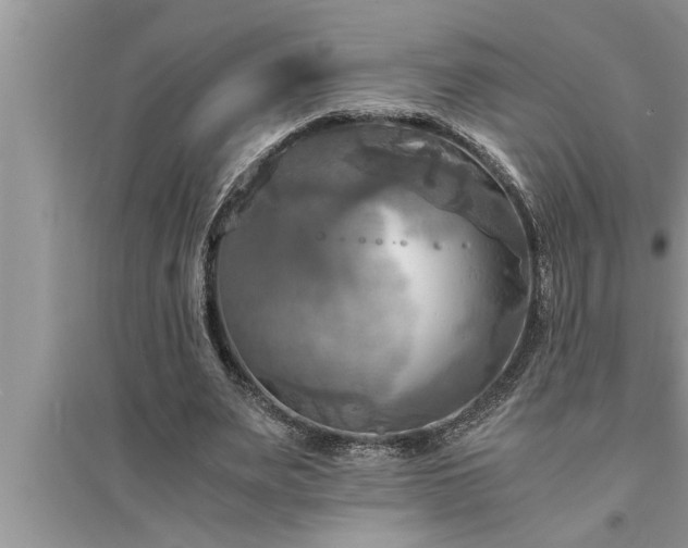 X0000095520487200712211306