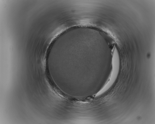 X0000095520488200712211306