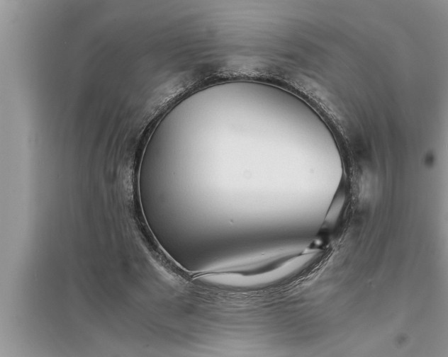 X0000095520489200712211306