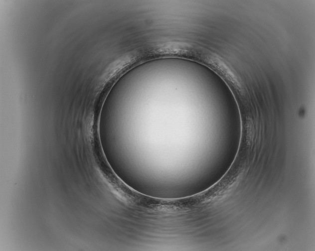 X0000095520490200712211306