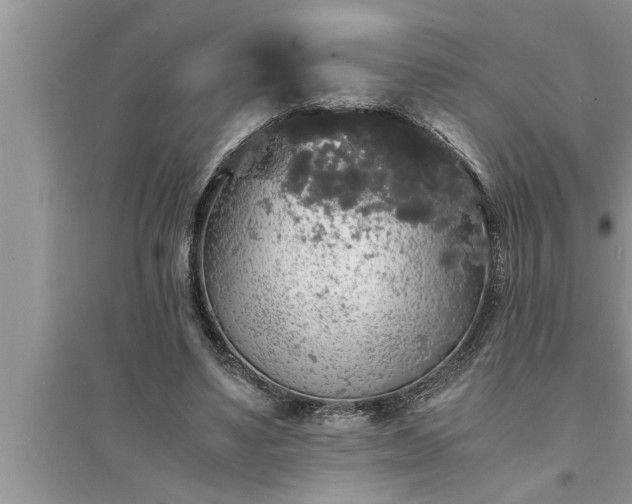 X0000095520491200712211306