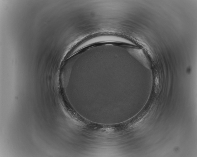 X0000095520492200712211306