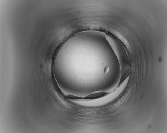 X0000095520493200712211306