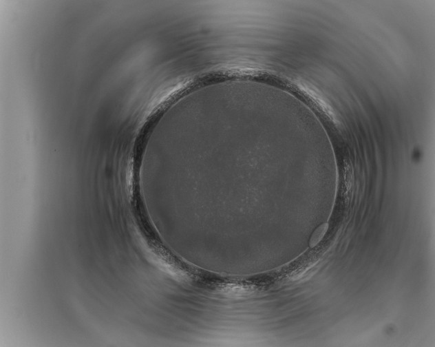 X0000095520494200712211306