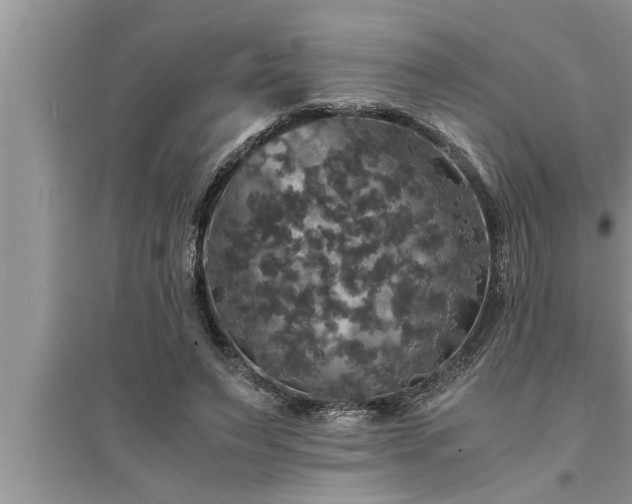 X0000095520495200712211306