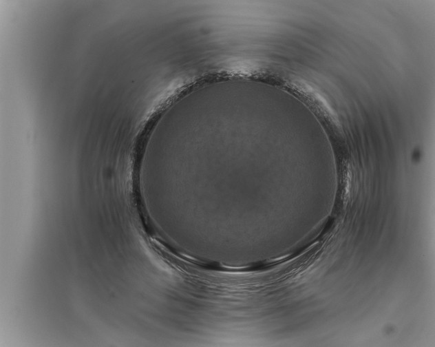 X0000095520496200712211306