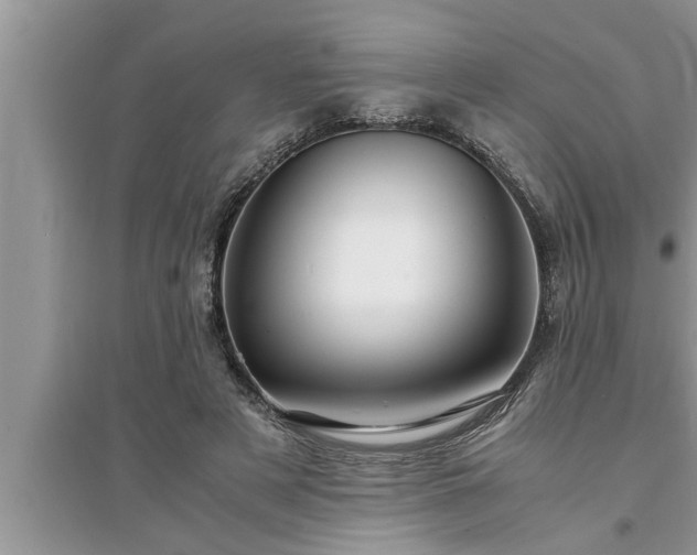 X0000095520497200712211306